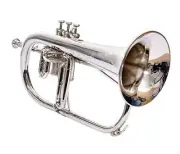 FlugelHorn 3v Nickel With HardCase and Mouthpiece FAST SHIPPING NEWYEAR SALE