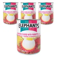 在飛比找Coupang 酷澎優惠-TWIN ELEPHANTS 紅毛丹罐頭
