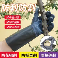 在飛比找蝦皮購物優惠-臺灣熱銷👉牛皮防護防刺手套園林園藝修剪玫瑰月季摘花椒刺剝闆慄