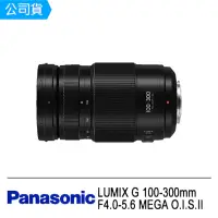 在飛比找momo購物網優惠-【Panasonic 國際牌】LUMIX G 100-300