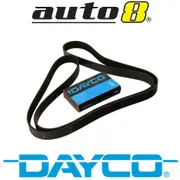 Dayco 6DPK1195 Multi Accessory Belt for Volkswagen Citivan T5 1.9L Diesel AXC