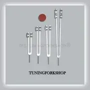 4 Pc Bone (25,50,100,200 hz) Tuning Fork for Healing with Activator,Pouch.