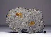 NWA 16652 - 294,6g - HED Eucrite polymict - Meteorite