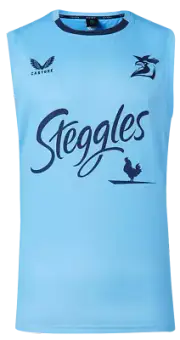 Sydney Roosters 2024 NRL Mens Sky Blue Training Singlet Sizes S-7XL BNWT