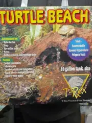 Turtle Beach Terrarium For Your Turtle