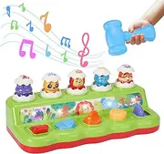Interactive Pop up Toys with Music & Light, Montessori Cause and Effect Toys for 1 Year Old Boy Girl, Early Learning Musical Baby Toys 9-12-18-24 Months, STEM Toddler Infant Toys Age 1-2 Gift