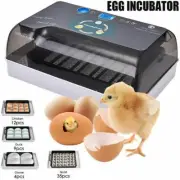 220V Intelligent Chicken Bird Egg Incubator Eggs Hatcher Temperature Control