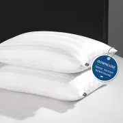 Set 2 100% Goose down and Feather Pillow Queen Size Premium Bed Pillows Sleep