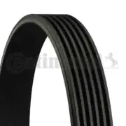 6PK1045 CONTINENTAL CTAM V-RIBBED BELT FOR ALFA ROMEO AUDI CHRYSLER CITROËN DOD
