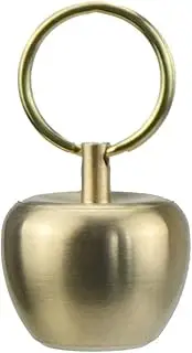 Portable Pill Box Organiser, Waterproof Keychain Pill Holder, Stainless Steel Pill Container for Travel Pocket Purse, Cute Apple Shape Pendant for Necklace, Small EDC Pill Case with Keyring for Outdoor/Daily/Emergency (Apple-Brass)