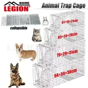 Animal Trap Cage Humane Possum Feral Cage Cat Rabbit Bird Dog Fox Live Catch