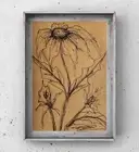 Echinacea Purpurea Drawing Botanical Illustration Simple Minimalist Wall Art 4*6