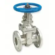 SHARPE 4371004820 GATE VALVE, 1" PIPE SIZE, FLANGE, CLASS 150, 1PRG1, NEW!!