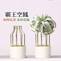 在飛比找蝦皮購物優惠-【台灣現貨】 霸王空氣鳳梨 花瓶 花器 北歐風陶瓷花瓶室內植