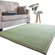 Baby Playmat Thicked Foam Area Rug, Multi-Size Coral Velvet Non Slip Crawling Nursery Area Carpet Floor Rug for Kid, Modern Tatami Mat for Playing, Yoga, Exercise Pads (Green, 80x200cm)