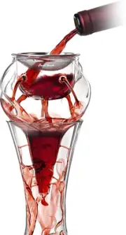 Conundrum Aerator for Wine Decanters - Instant Wine Oxygenation, 3 Phase Aeratio