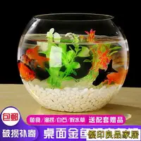 在飛比找樂天市場購物網優惠-開立發票 玻璃魚缸烏龜缸龜缸魚缸客廳小型桌面玻璃小魚缸 家用