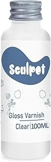 1DFAUL 100ml Air Dry Clay Glaze Varnish & Sealant, Prevents Crazing Yellowing, Scratch Resistant Wear, Waterproof, Hight Gloss Finish (Gloss Varnish)
