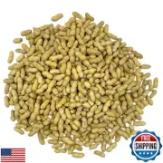 Sneaky Mango Premium Quality- 25 Pound Raw Peanuts in Shell – All-Natural Foo