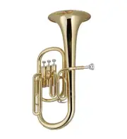 STAGG Eb BRASS ALTO HORN w/ CASE - Shop Tested Prior to Shipping