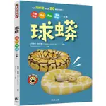 球蟒：飼養環境、餵食、繁殖、健康照護一本通！【金石堂】