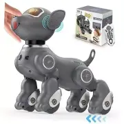 Robot Dog Toy for Kids, Voice & 2.4GHz Remote Control Robot Pet with Grey