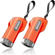 SINSEN Car Safety Hammer, 2-Pack Window Glass Breaker & Seatbelt Cutter, Emergency Keychain, Automotive Escape Kit and Survival Tool for Land/Underwater, Orange