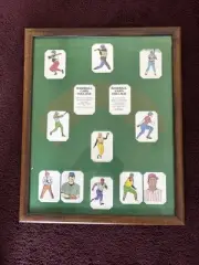 GIVE TO THE COLLAGE OF YOUR CHOICE -- NEW LUCKY 13 BASEBALL CARD DISPLAY FRAME!!
