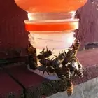 3Pcs Bee Water Feeder Set White Beekeeping Cup Equipment Fountain Industrial