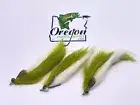 Hare Sculpin Green & White Fly #10, Three FLY; Additional products ship free