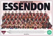 Essendon bombers team poster, AFL football,premiers dogs,crows ,swans,books 1