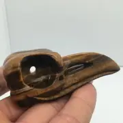 Natural tiger's eye jasper Quartz hand Carved bird skull Reiki healing1pc
