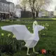下殺-【贈送工具】3D立體紙模型 天鵝 幾何摺紙 紙雕刻立體構成 DIY手工 創意擺件 裝飾 擺件