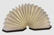 Gingko Brown Wooden Smart Foldable Accordion 400 Lumens LED Desk Lamp