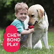 MEDIUM Dog Toy Durable Natural Rubber Fun to Chew Chase Fetch Teething Barking