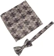 [WOFASHPURET] 2 Sets Bow Tie Pocket Square Set Pocket Square Men Pocket Square for Men Formal Bowtie Men Suit Pocket Square Pocket Squares Mens Pocket Square Suit Handkerchief Bow Tie for Men