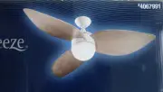 NIB Nice Indoor Outdoor 52" CEILING FAN w/ LED Light + Remote (white-oak finish)