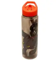 ~ How to Train Your Dragon Drink Bottle ~ Toothless Drink Bottle ~