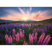 500pc Ravensburger Lupines Building Themed Interactive Jigsaw Puzzle Pieces
