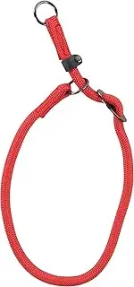 Aiden Red Collar, Small, 45cm, 10mm