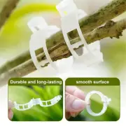 300 PCS Tomato Clips 25 mm Trellis Twine Support Vegetable Garden Plant Binder