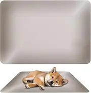 Small Animal Cooling Pad, 19.6x11.8inch Reusable Large Aluminum Pet Cooler Plate, Heat Dissipation Plate, Hamster Chiller Cool Mat for Hot Weather, Home Comfort