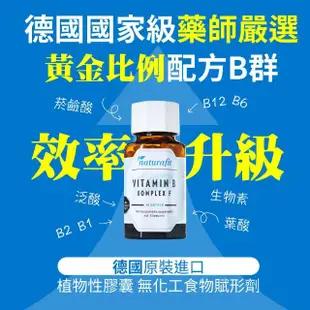 【德國 Natural Fit 活粒適】維生素B群 90粒(素食維他命B群 B1 B6 B12 葉酸 泛酸 菸鹼酸 生物素)