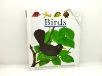 在飛比找Yahoo!奇摩拍賣優惠-二手童書繪本Birds第一次英語大發現Moonlight P