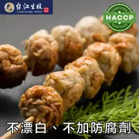 在飛比找momo購物網優惠-【台江生技】匠人製作｜手工無毒虱目魚丸 6包組（半斤1包）(