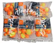 5x 12PK Fluorescent Fishing Snap on Round Float Assortment 60 Total Bobbers