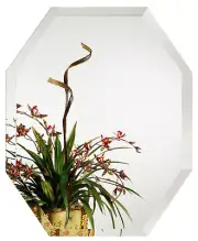 Alno 9561-102 21-1/4 X 28-3/4" Frameless Octagonal Mirror