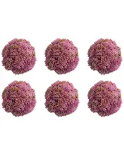 Creative Displays Set of 6 Decorative Pink Sedum Balls