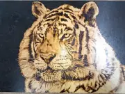 wood burning art pyrography