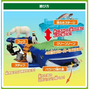 【玩具兄妹】現貨! TAKARA TOMY 冒險鯨魚島遊戲組【開發票】多美動物園 正版授權 公司貨 內附海龜 小朋友禮物